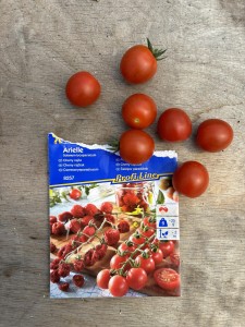 Pomidor koktajlowy ,,Arielle‘’ F1 - nasiona pomidorów koktajlowych Kiepenkerl