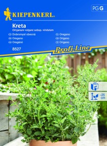 Oregano 'Kreta' - nasiona Kiepenkerl