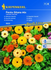 Nagietek lekarski 'Fiesta Gitana Mix' - nasiona  Kiepenkerl