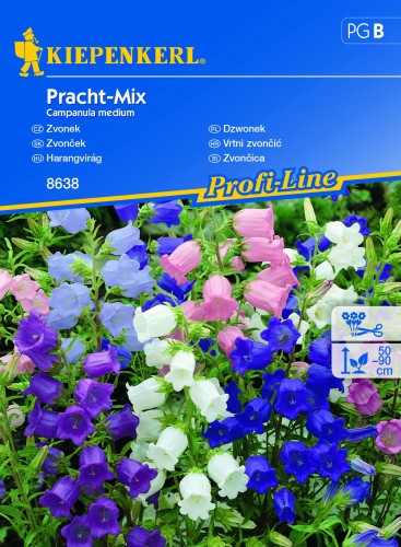 Dzwonek 'Pracht-Mix' - nasiona Kiepenkerl