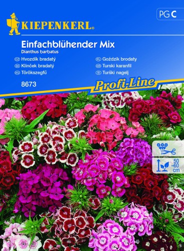 Goździk brodaty 'Einfachblühende Mischung' - Nasiona - Kiepenkerl