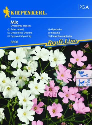 Gipsówka - Mix  nasion - Kiepenkerl