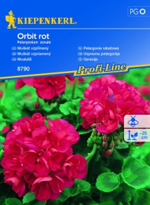 Pelargonia rabatowa 'Orbit rot 'F1 - Nasiona - Kiepenkerl