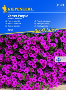 Petunia zwisająca 'Velvet Purple' F1 - nasiona petunii zwisającej - Kiepenkerl