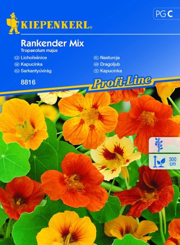 Nasturcja 'Rankender' - mix nasion nasturcji - Kiepenkerl