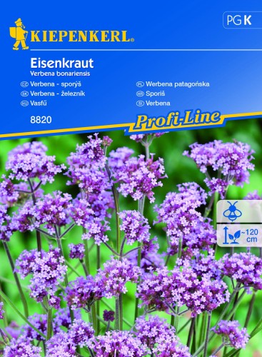 nasiona-werbany-patagonskiej