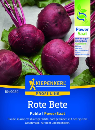 Burak 'Pablo' F1 - nasiona otoczkowane - Kiepenkerl