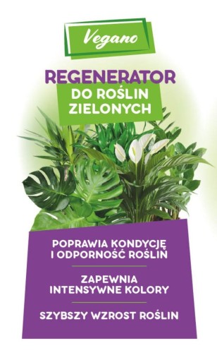 Regenerator_rosliny-domowe