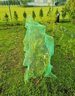 siatka_ochronna_drzewy_balkony