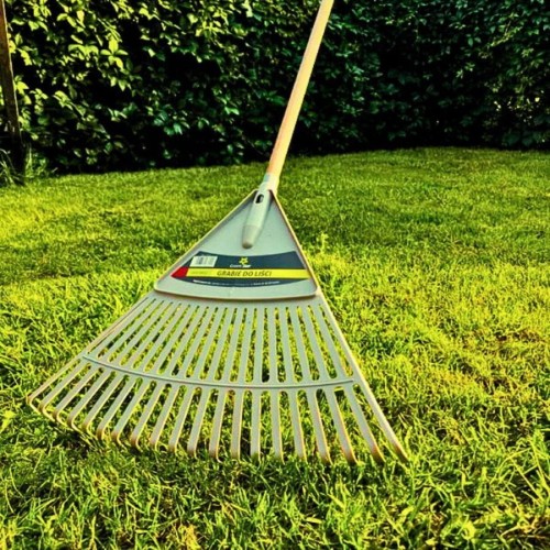 grabie-do-sprzatania-lisci