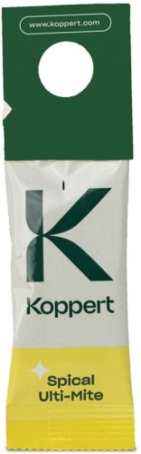 dobroczynek-kalifornijski