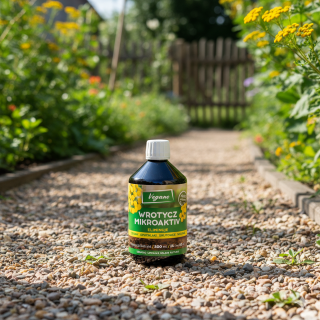 gnojowka-z-wrotyczu-vegano