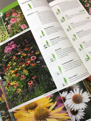 katalog bylin (2).jpg