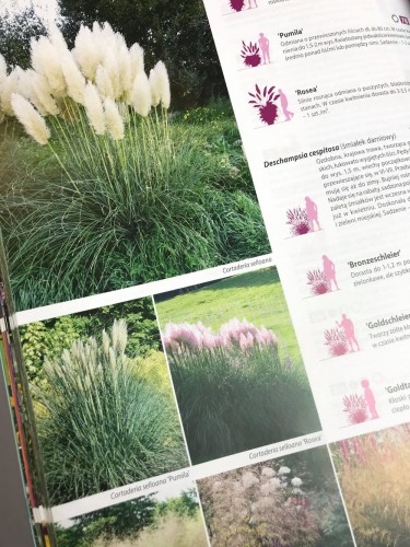 katalog bylin (3).jpg