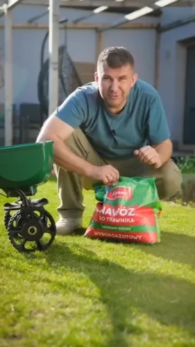 nawożenie trawnika vegano.webp