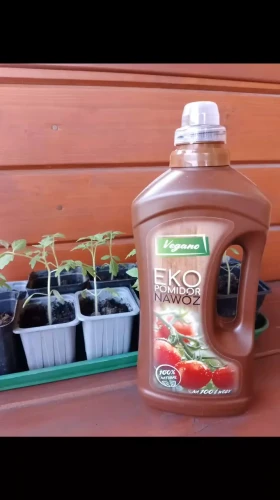 rozsady i nawóz do pomidorów vegano.webp