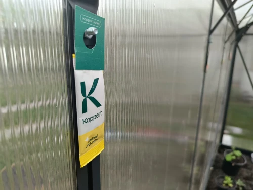 dobroczynek kalifornijski.webp