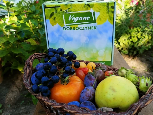 sposób na szkodniki dobroczynek kalifornijski.webp