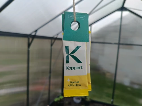 szkodniki dobroczynek vegano.webp