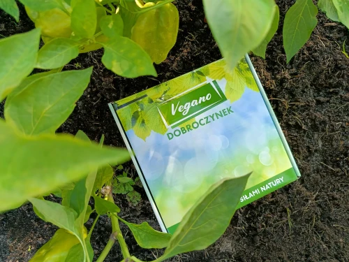 vegano - dobroczynek kalifornisjki.webp