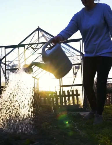 używanie larva stopera vegano.webp