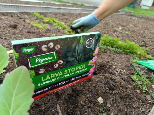 zwalczanie opuchlaków i pędraków larva stoperem vegano.webp