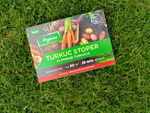 naturalny sposób na turkucia podjadka.webp