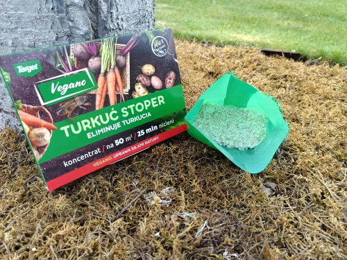 nicienia na turkucia podjadka.webp