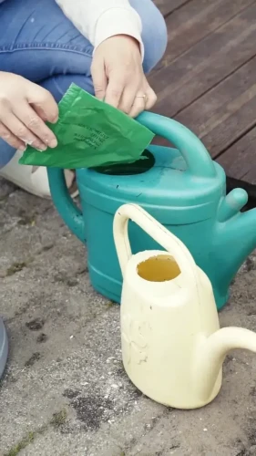 przygotowywanie turkuć stopera vegano.webp