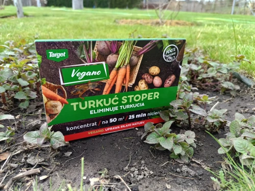 sposób na turkucia - vegano.webp