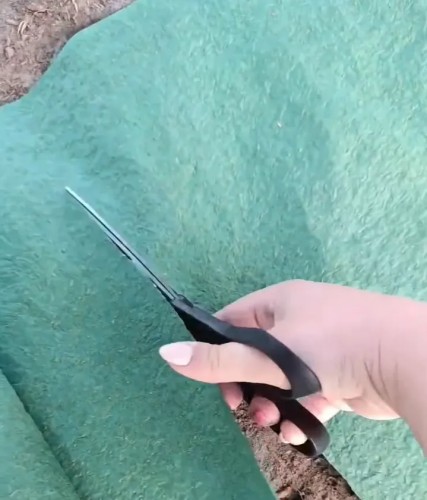 nasiona na macie trawa - vegano.webp