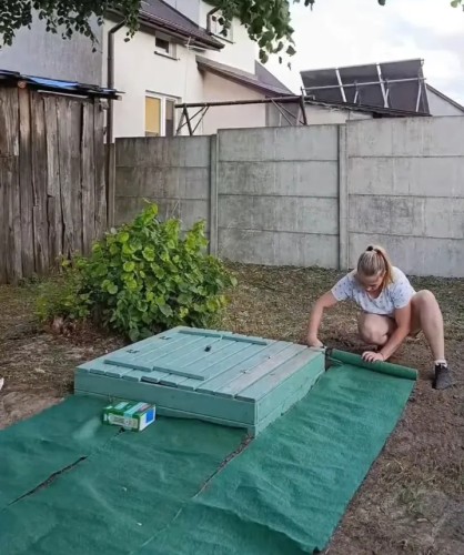 vegano - nasiona na macie greengrass.webp