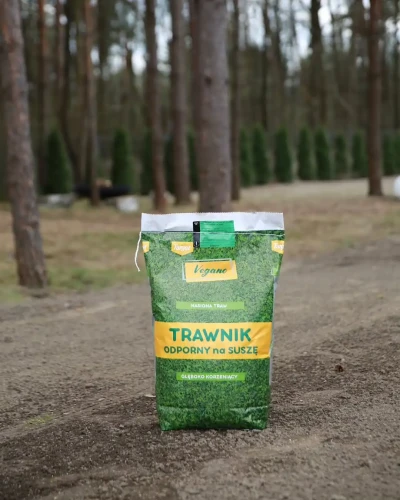 sianie trawy vegano.webp