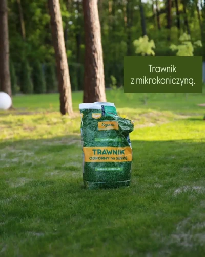 trawnik odporny na suszę vegano.webp