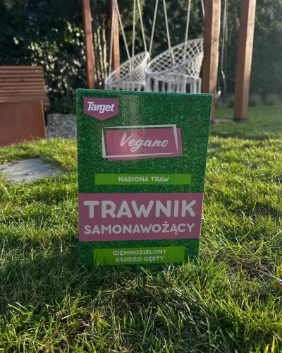 dosiwanie nasion trawy.webp