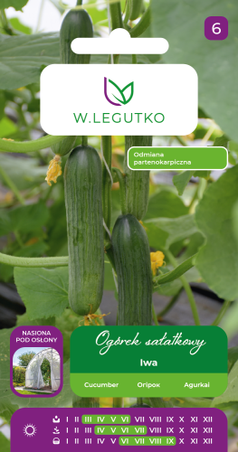 nasiona-ogorka-szklarniowego