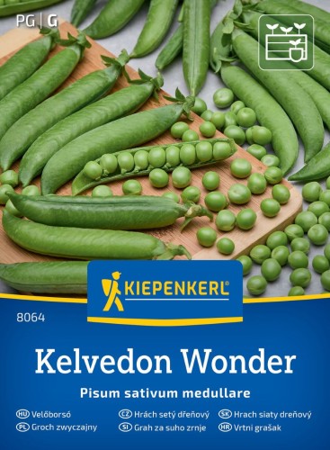 Groszek zielony 'Kelvedon Wonder' - nasiona Kiepenkerl