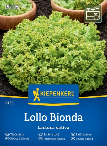 nasiona-salaty-lisciowej