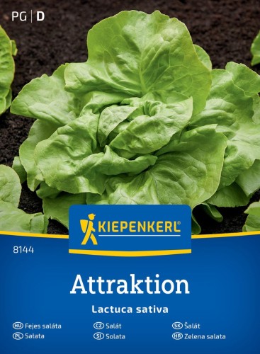 nsiona-salaty-maslowej