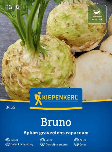 Seler korzeniowy 'Bruno' - nasiona Kiepenkerl