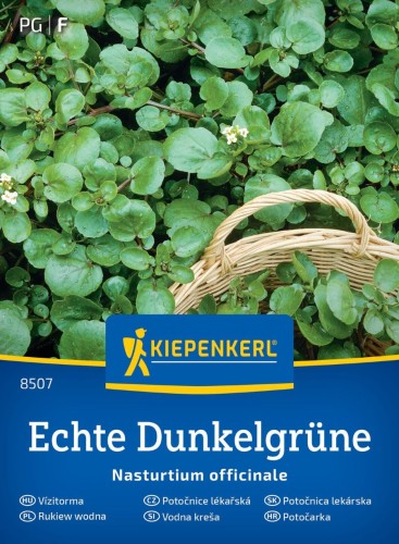 Rukiew wodna 'Echte Dunkelgrüne' - nasiona Kiepenkerl