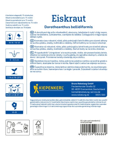 przypoludnik-stokrotkwy-nasiona-kiepenkerl
