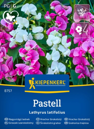 nasiona-groszku-ozdobnego