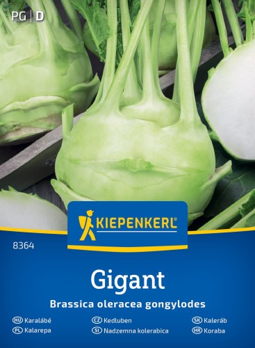 Kalarepa "Gigant"
