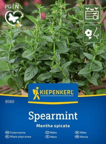 Mięta pieprzowa ,,Spearmint’’ - nasiona mięty Kiepenkerl