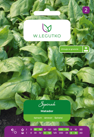 nasiona-szpinaku-matador-legutko