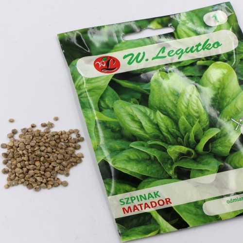 nasiona-szpinaku-matador-legutko