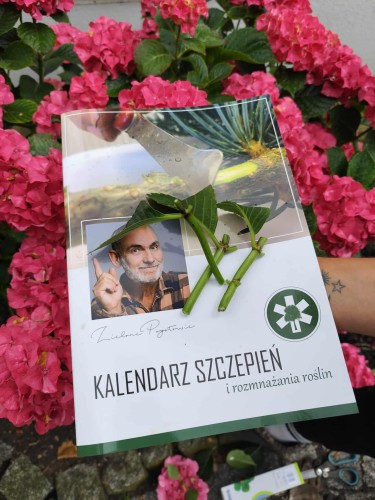 kalendarz_szczepień.jpg