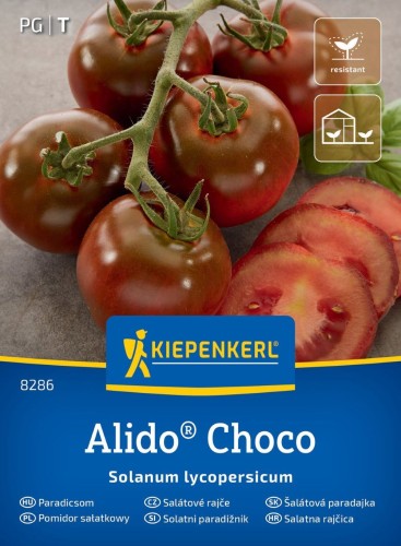 Pomidor sałatkowy "Alido Choco" F1 - nasiona Kiepenkerl