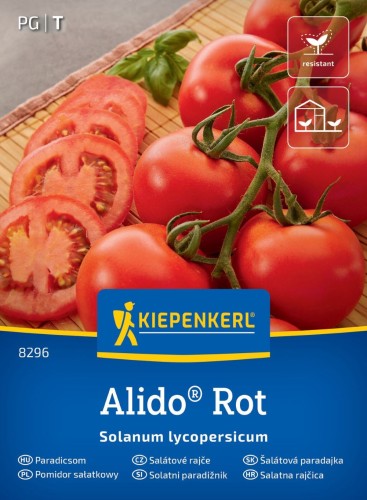 Pomidor sałatkowy "Alido Rot"  - nasiona Kiepenkerl